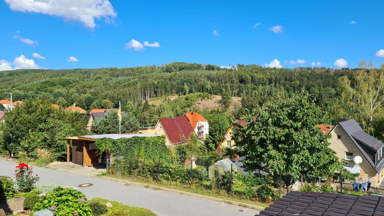 Apartment Marx Sebnitz